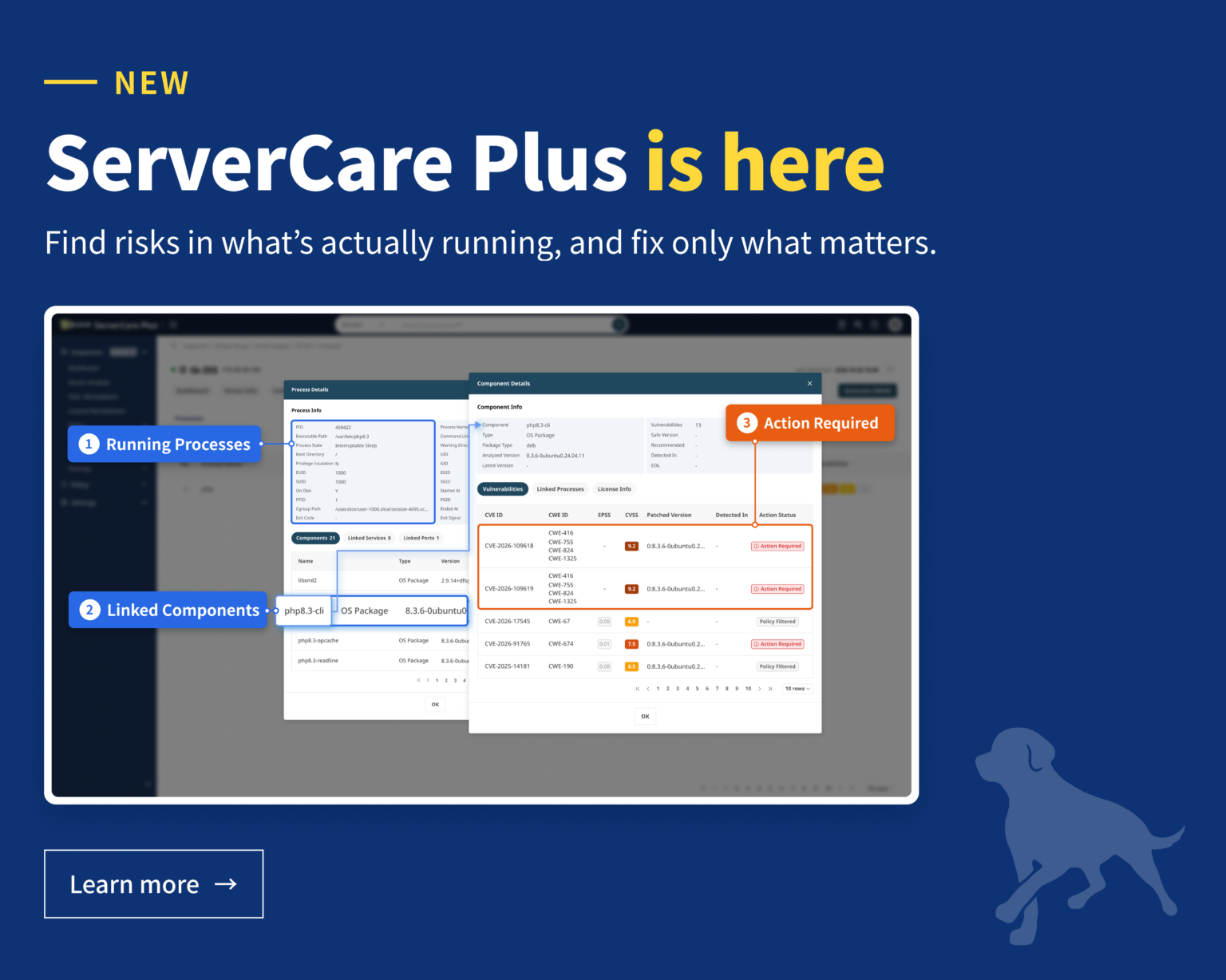 ServerCare Plus